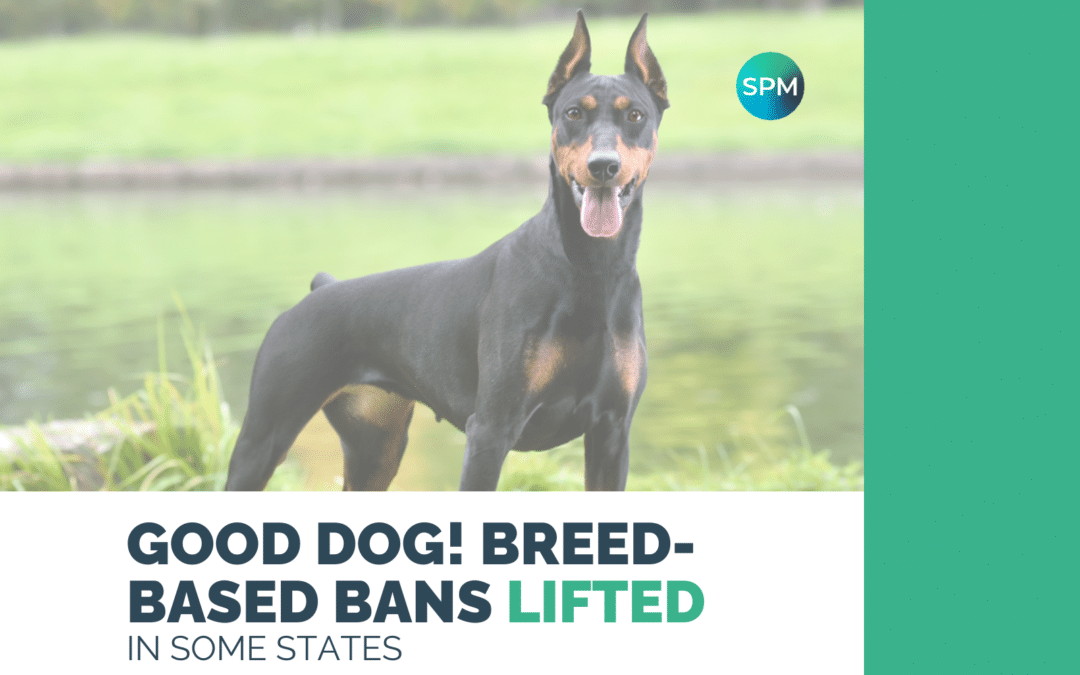 Good Dog! Breed-based bans lifted in some states